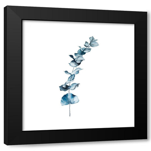 EUCALYPTUS BLUE LEAVES Black Modern Wood Framed Art Print with Double Matting by Atelier B Art Studio