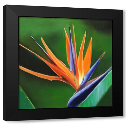 BIRD OF PARADISE FLOWER  Black Modern Wood Framed Art Print by Atelier B Art Studio