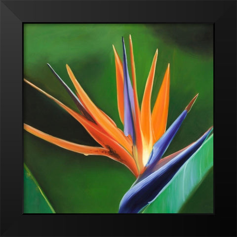 BIRD OF PARADISE FLOWER  Black Modern Wood Framed Art Print by Atelier B Art Studio