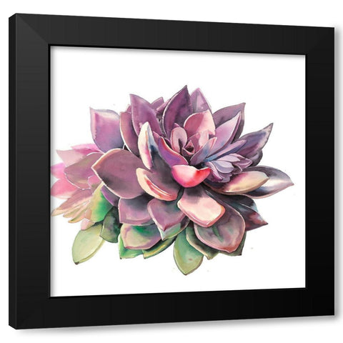 SUCCULENT Black Modern Wood Framed Art Print by Atelier B Art Studio