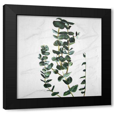 EUCALYPTUS STEMS Black Modern Wood Framed Art Print with Double Matting by Atelier B Art Studio