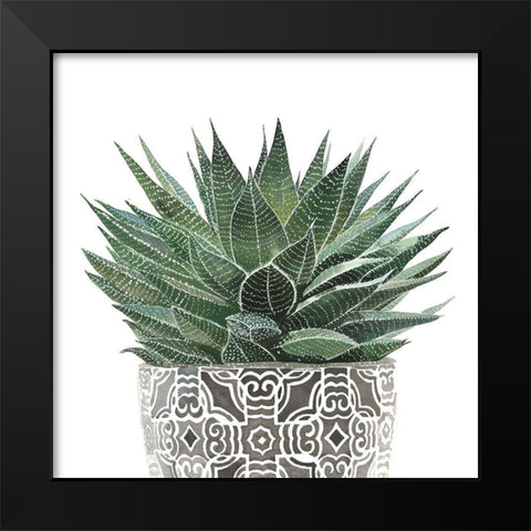 ZEBRA PLANT SUCCULENT Black Modern Wood Framed Art Print by Atelier B Art Studio