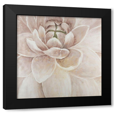 Delicate Chrysanthemum Black Modern Wood Framed Art Print by Atelier B Art Studio