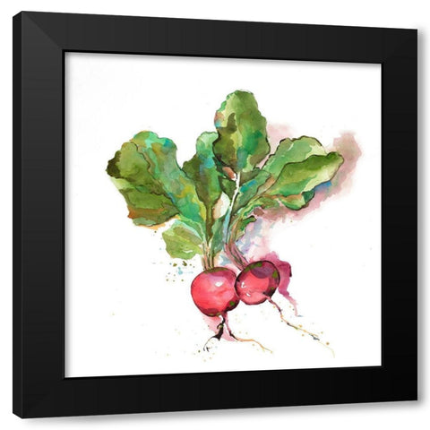 Watercolor Radish Black Modern Wood Framed Art Print with Double Matting by Atelier B Art Studio