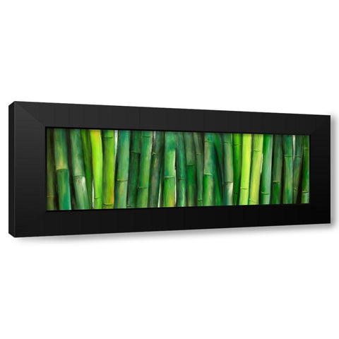 Green Bamboo Black Modern Wood Framed Art Print with Double Matting by Atelier B Art Studio