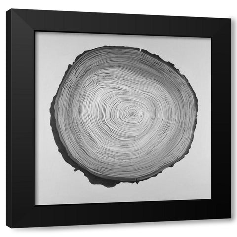 Grayscale Round Shaped Tree Slab Black Modern Wood Framed Art Print with Double Matting by Atelier B Art Studio