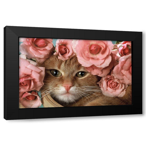 Here I am Black Modern Wood Framed Art Print by Hoenderkamp, Patrick