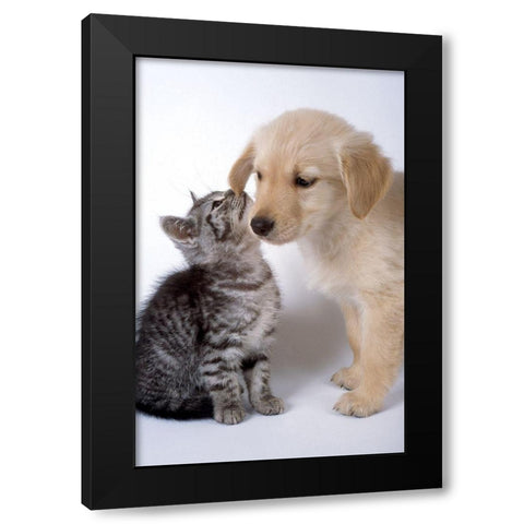 True love Black Modern Wood Framed Art Print by Hoenderkamp, Patrick