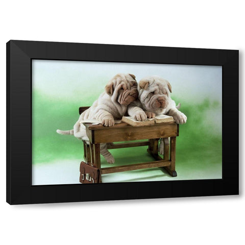 University dogs Black Modern Wood Framed Art Print with Double Matting by Hoenderkamp, Patrick