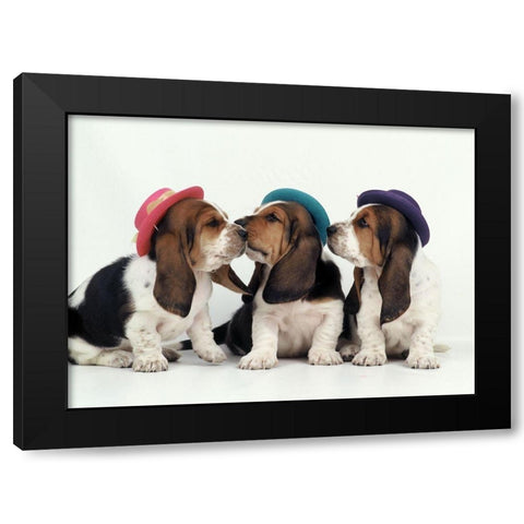 Party dogs Black Modern Wood Framed Art Print by Hoenderkamp, Patrick