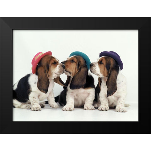 Party dogs Black Modern Wood Framed Art Print by Hoenderkamp, Patrick