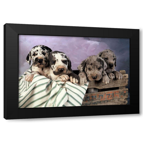 We are family Black Modern Wood Framed Art Print by Hoenderkamp, Patrick