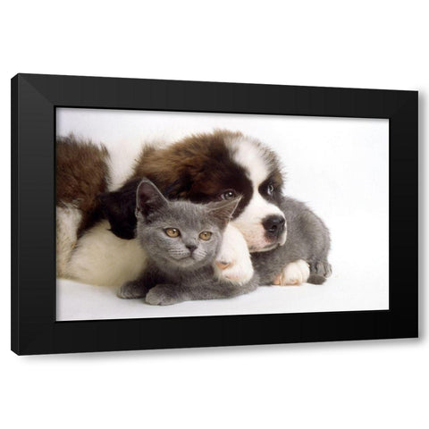 real love Black Modern Wood Framed Art Print with Double Matting by Hoenderkamp, Patrick