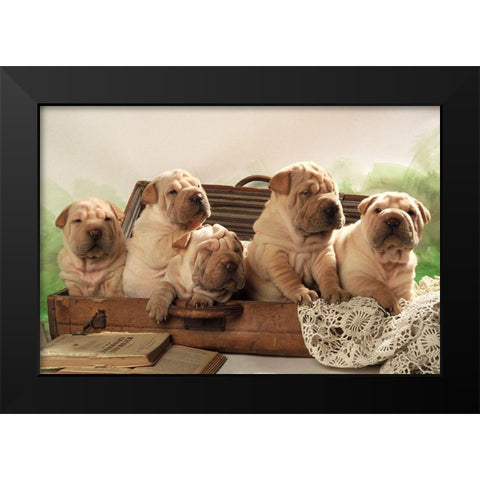 Ready to travel Black Modern Wood Framed Art Print by Hoenderkamp, Patrick