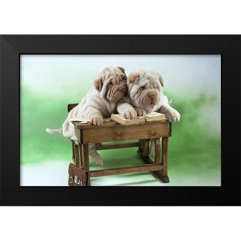 clever dogs Black Modern Wood Framed Art Print by Hoenderkamp, Patrick