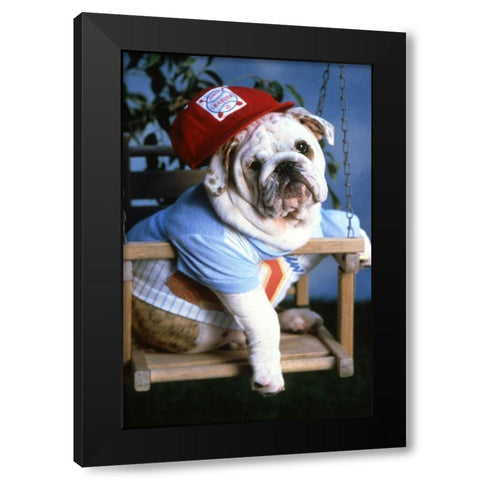 mops dog Black Modern Wood Framed Art Print with Double Matting by Hoenderkamp, Patrick