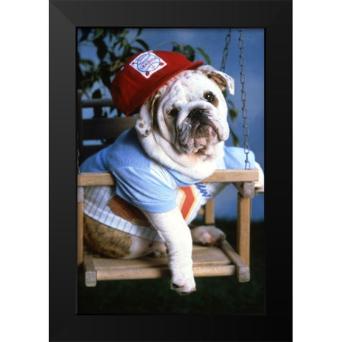 mops dog Black Modern Wood Framed Art Print by Hoenderkamp, Patrick