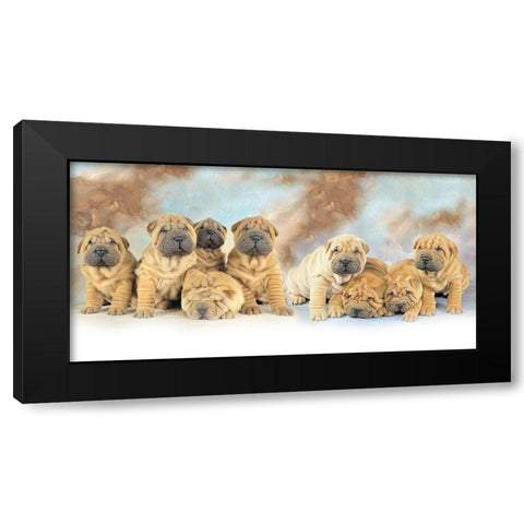 Puppies Black Modern Wood Framed Art Print by Hoenderkamp, Patrick