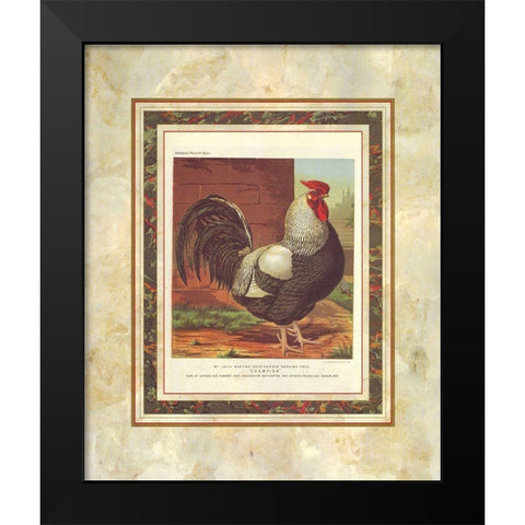 Rose-Combed Dorking Cock, Cassells Poultry Book Black Modern Wood Framed Art Print by Ludlow, J.W.