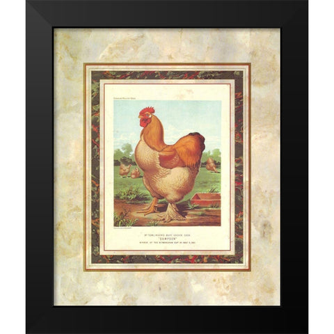 Buff. Cochin Cock, Cassells Poultry Book Black Modern Wood Framed Art Print by Ludlow, J.W.