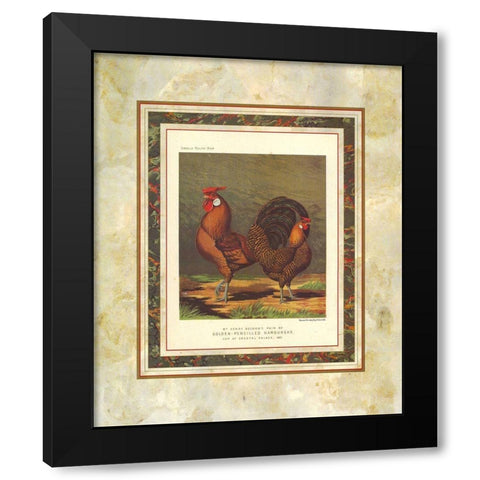 Golden Pencilled Hamburghs, Cassells Poultry Book Black Modern Wood Framed Art Print by Ludlow, J.W.