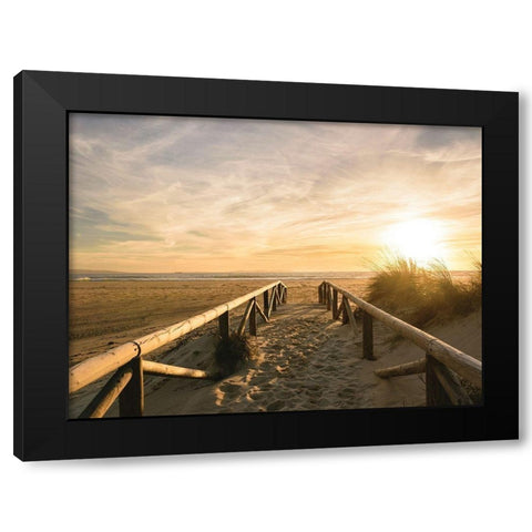 Beach Path to the Golden Sun Black Modern Wood Framed Art Print by Schaldach