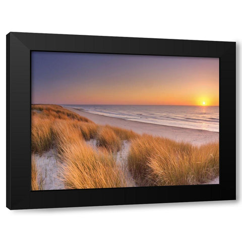 Flowing Copper Beach Grass Black Modern Wood Framed Art Print by Winter
