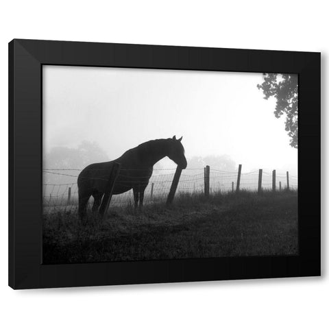 Morning Pasture Black Modern Wood Framed Art Print with Double Matting by Anonymous