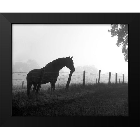 Morning Pasture Black Modern Wood Framed Art Print by Anonymous