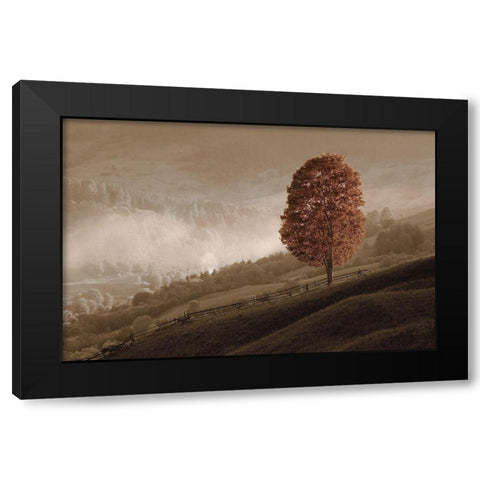 Lovely Mountain Tree Black Modern Wood Framed Art Print by Kotenko, O.