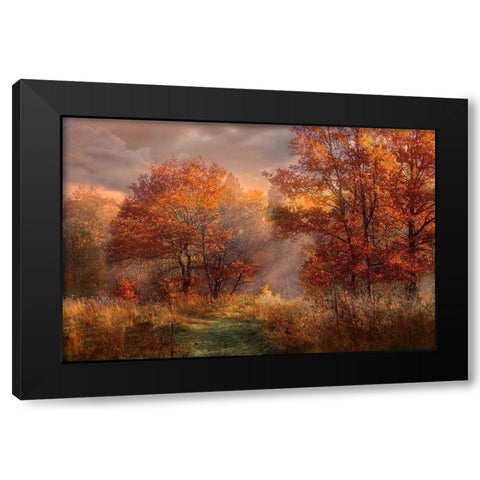 Red Oaks in the Mist Black Modern Wood Framed Art Print with Double Matting by Anonymous