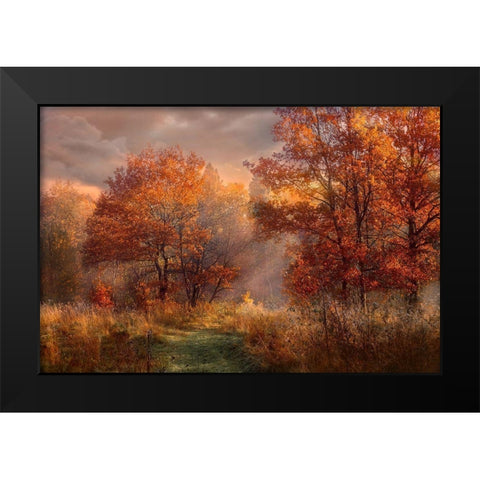 Red Oaks in the Mist Black Modern Wood Framed Art Print by Anonymous
