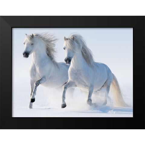 Snow Gallop Black Modern Wood Framed Art Print by Abramova,  K