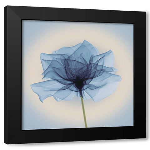 Layered Veil, Blue Black Modern Wood Framed Art Print with Double Matting by Anonymous
