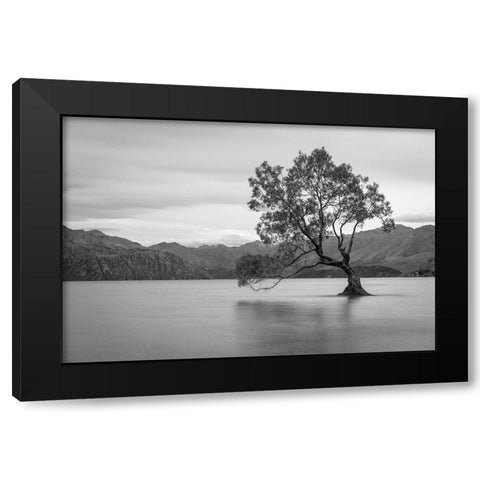 Iconic Lake Tree Black Modern Wood Framed Art Print with Double Matting by Anon