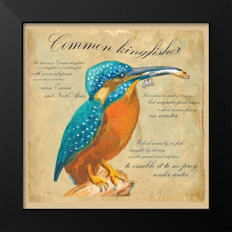 Common Kingfisher Black Modern Wood Framed Art Print by Kuco