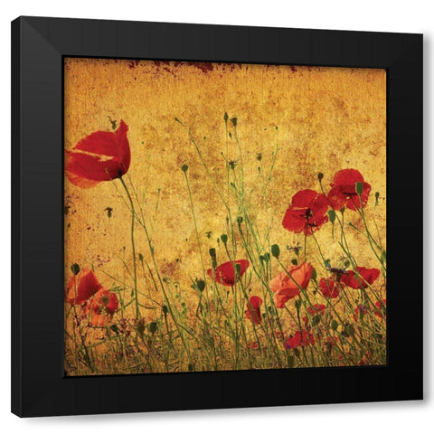 Field of Poppies Black Modern Wood Framed Art Print by Anonymous