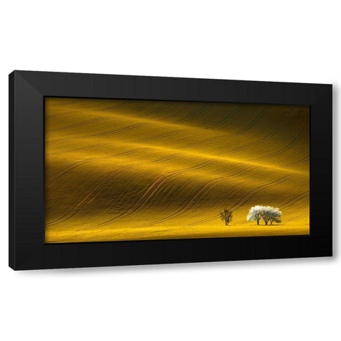 Majestic Field with White Trees Black Modern Wood Framed Art Print with Double Matting by Uladzislau, S.