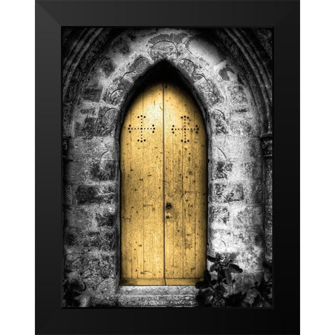 Golden Door Black Modern Wood Framed Art Print by McCarthy, William