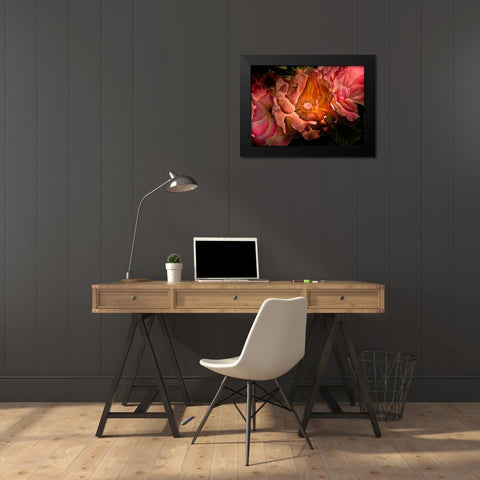 Roses Black Modern Wood Framed Art Print by Carson, Brian