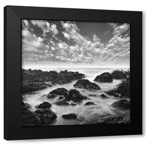 Ocean Seatide I Black Modern Wood Framed Art Print with Double Matting by Anonymous
