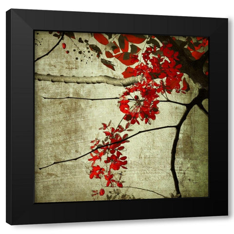 Red Kerala Blossoms Black Modern Wood Framed Art Print with Double Matting by Anonymous