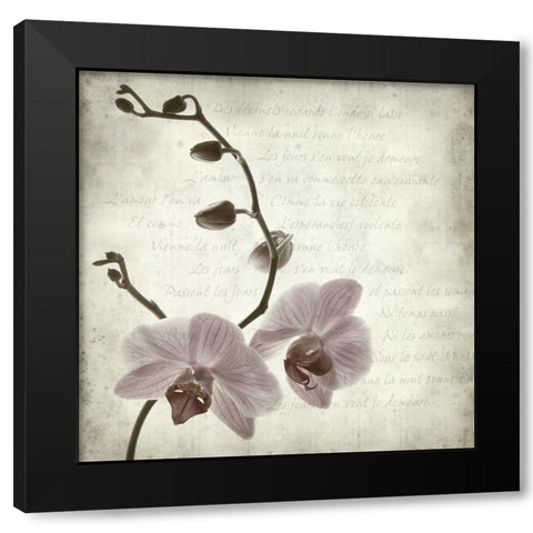 Retro Orchid Black Modern Wood Framed Art Print by Anonymous