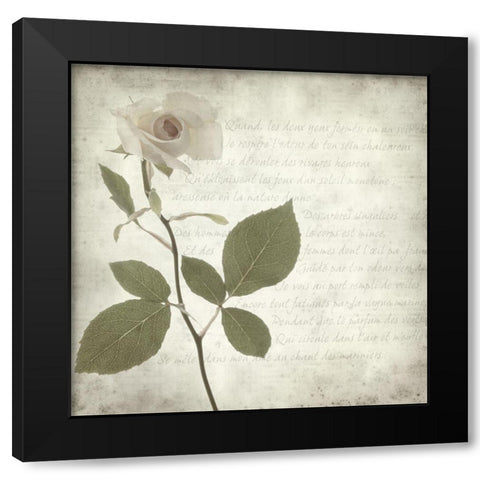 Retro Rose Black Modern Wood Framed Art Print by Anonymous