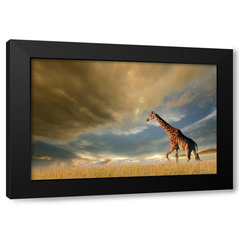 Giraffes, African Skies Black Modern Wood Framed Art Print with Double Matting by Anonymous