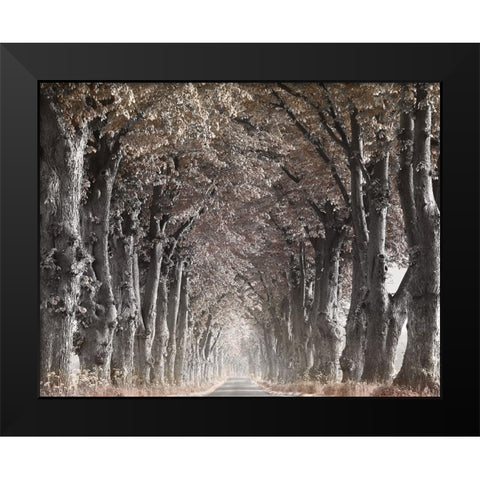 Down The Country Road Black Modern Wood Framed Art Print by Anonymous