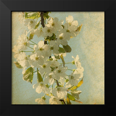 Spring Bloom Black Modern Wood Framed Art Print by Anonymous
