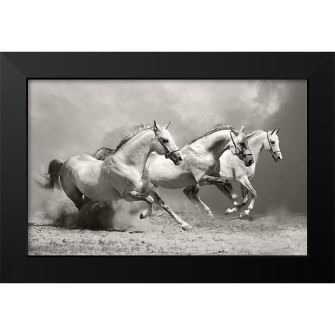 White Stallions II Black Modern Wood Framed Art Print by Anonymous