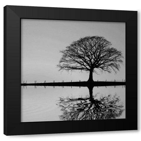 Shimmering Oak Black Modern Wood Framed Art Print with Double Matting by Anonymous