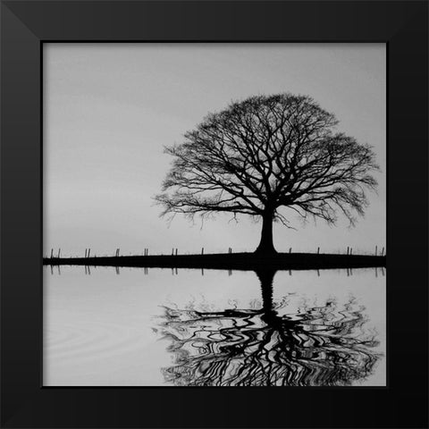 Shimmering Oak Black Modern Wood Framed Art Print by Anonymous